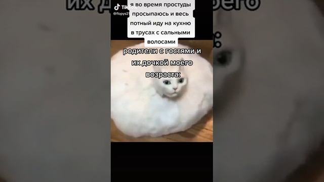 🤣😂🤣😂🤣😂