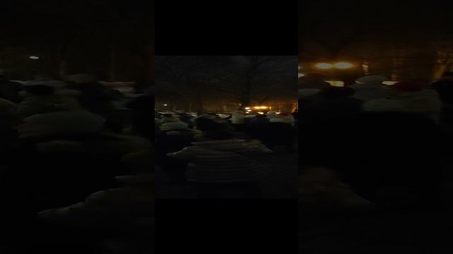 01.12.2024...💃💃"Танцы в Гомеле!...