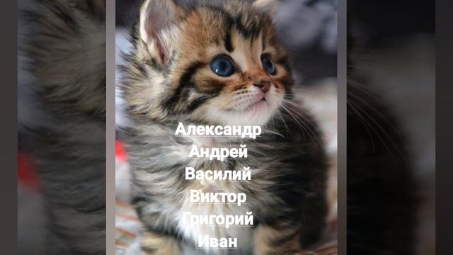 Именины 8 ноября