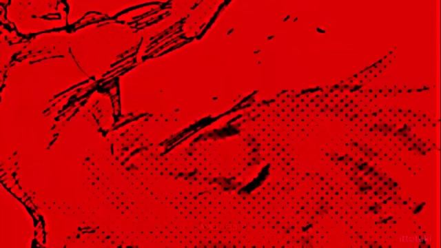 TUCA DONKA + HAKARI DANCE | 1 hour loop