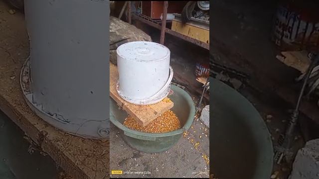 чистим кукурузу
