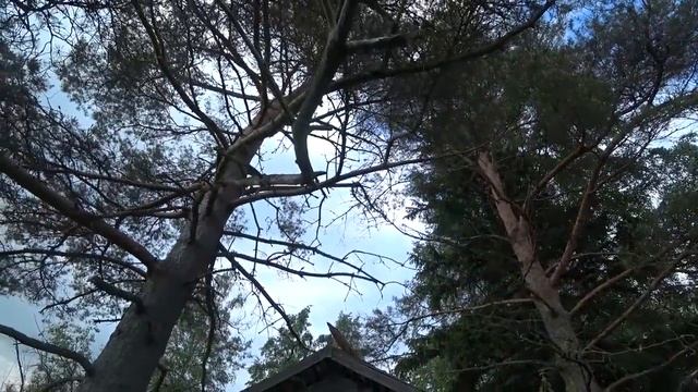 Заброшенная деревня Суханово,Ярославская область