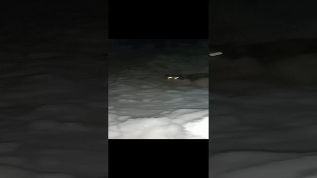 ДОМ ИЗ СНЕГА НА ДАЧЕ