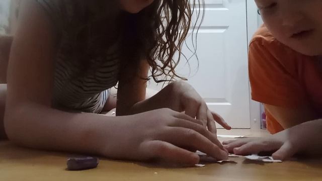 VID_20241208_104424.mp4