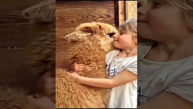 Милое видео