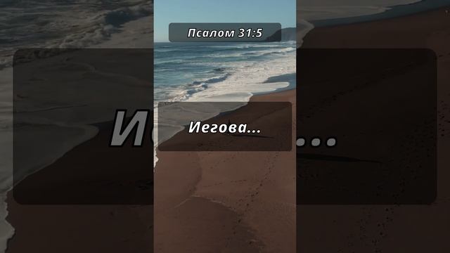 Где найти истину?