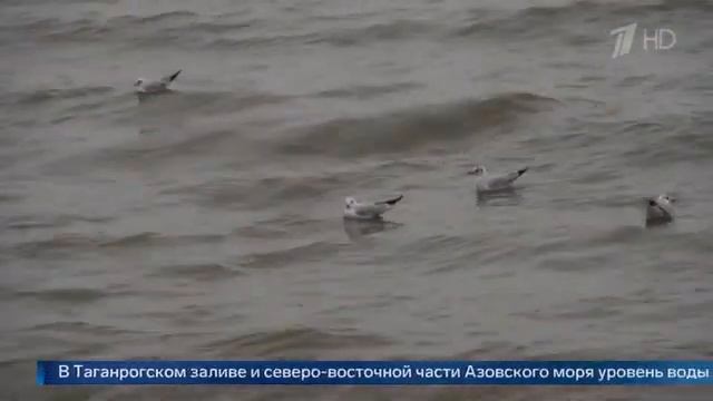 Ульяновскую Негоду непогоду показали на Первом канале.