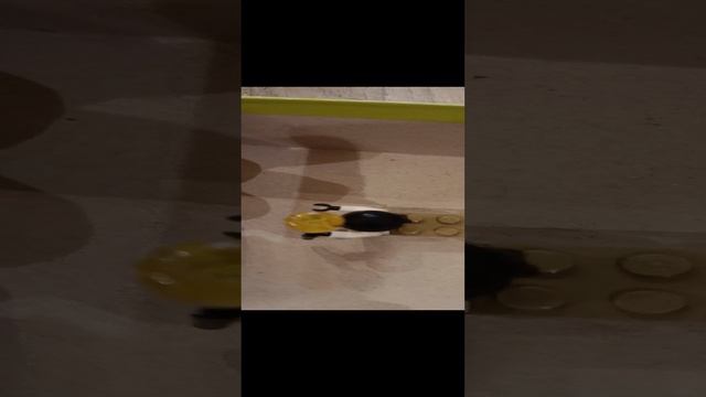 1000002439.mp4