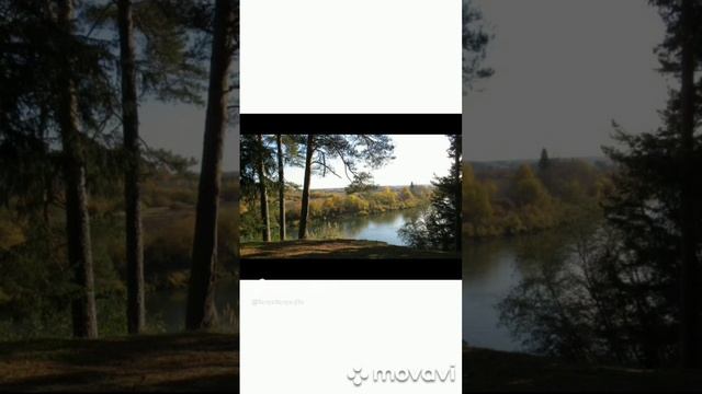 Не готовлю - только ем. #еда