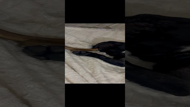 08-12-2024