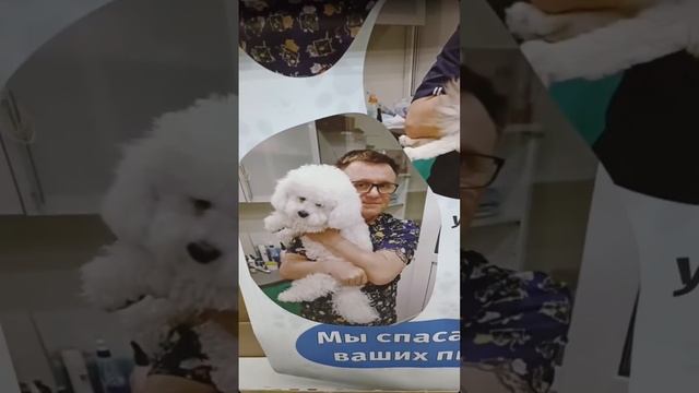 Мобильная стойка для рекламы внутри помещения