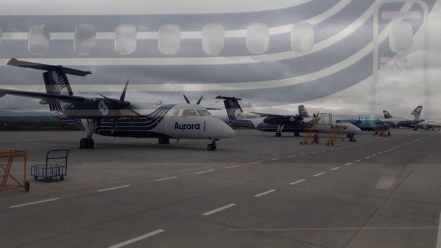 Аврора Дэш 8