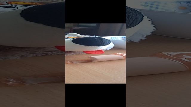 котик обормотик