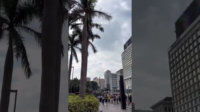 Уже ежегодная традиция посещения Гонконга 🇭🇰