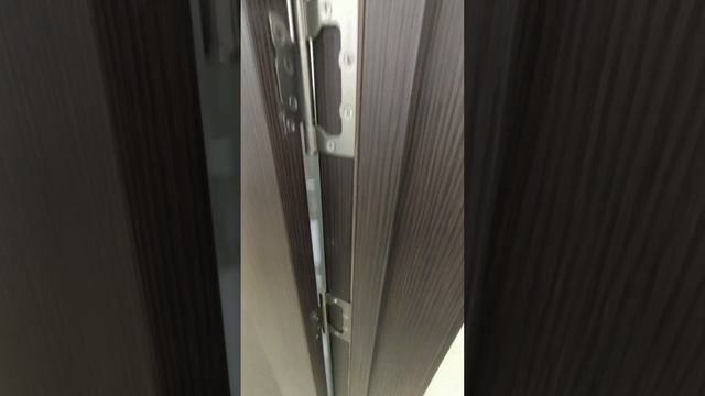 Установка дверей.