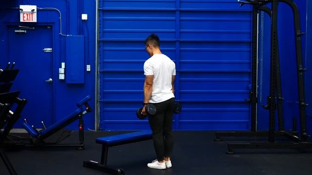 Lunges ALTERNATIVE - Weighted Step Ups (_knee friendly)