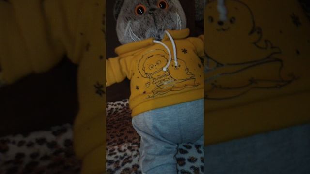 Обзор рюкзака Феника
