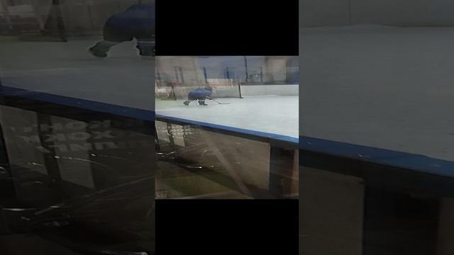 бросаем шайбу