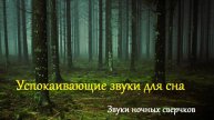 Успокаивающие звуки для сна. Звук сверчков для сна.