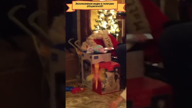 Что то пошло не так