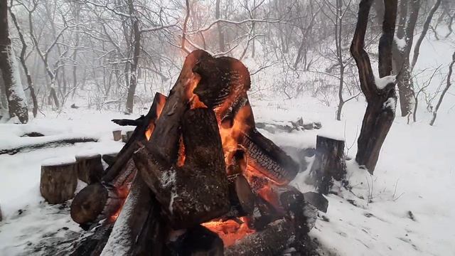 ЭНЕРГИЯ ЗИМНЕГО КОСТРА