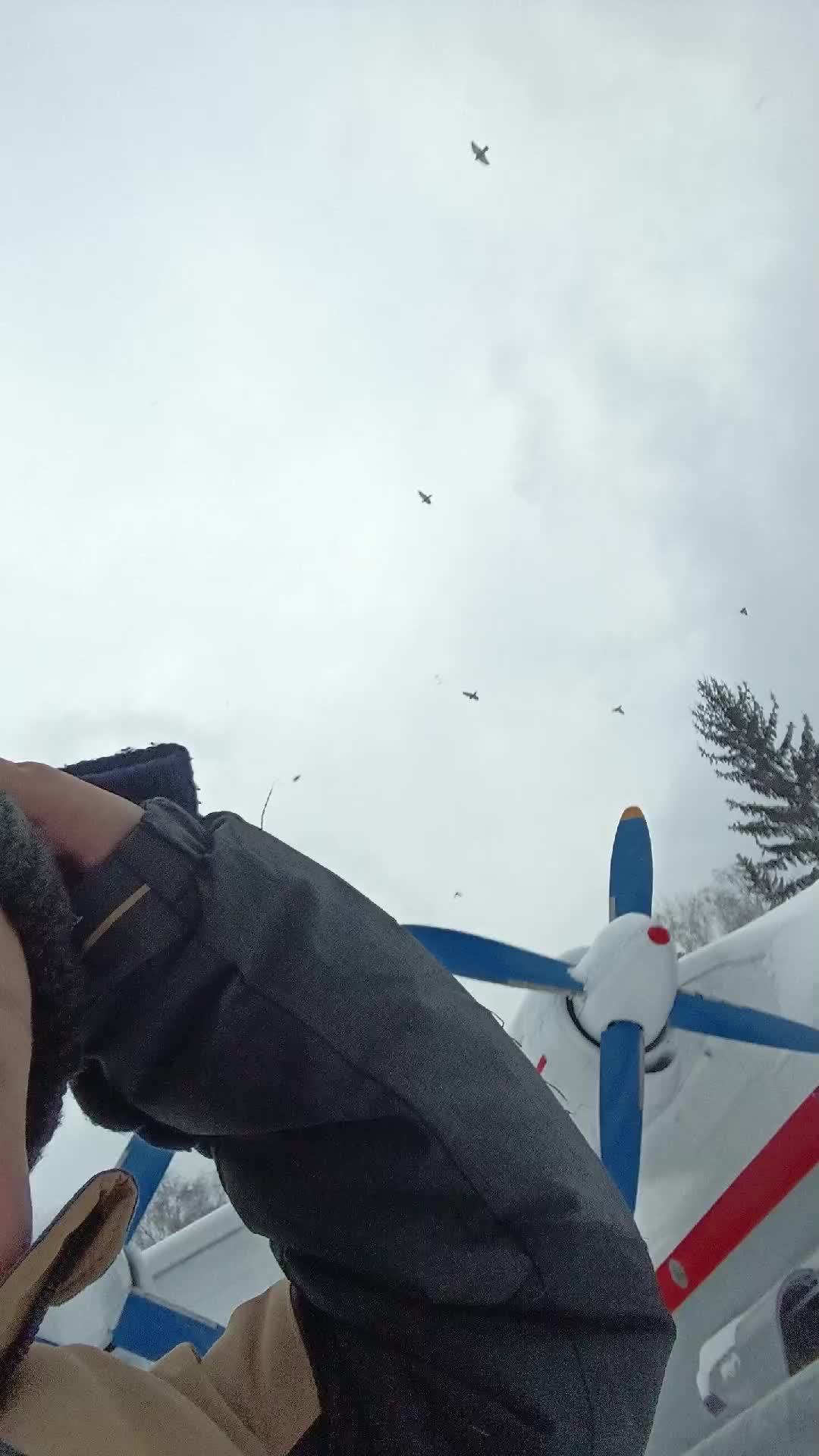 парк антошка
