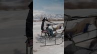 Откройте для себя магию зимних скачек в самом сердце Алтая!