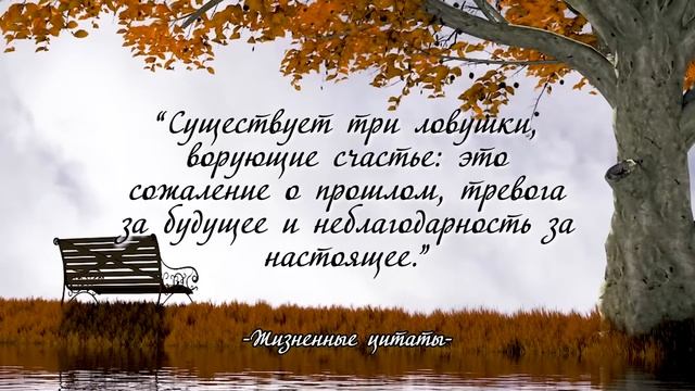 📜  Мудрые Мысли...