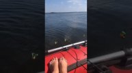 рыбалка на леща с лодки