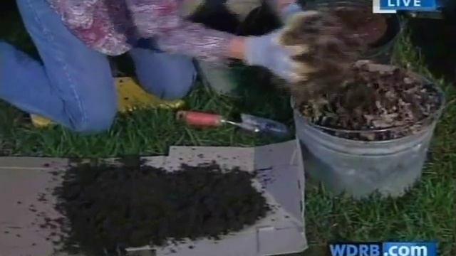 WDRB Keith Kaiser   Lasagna Gardening