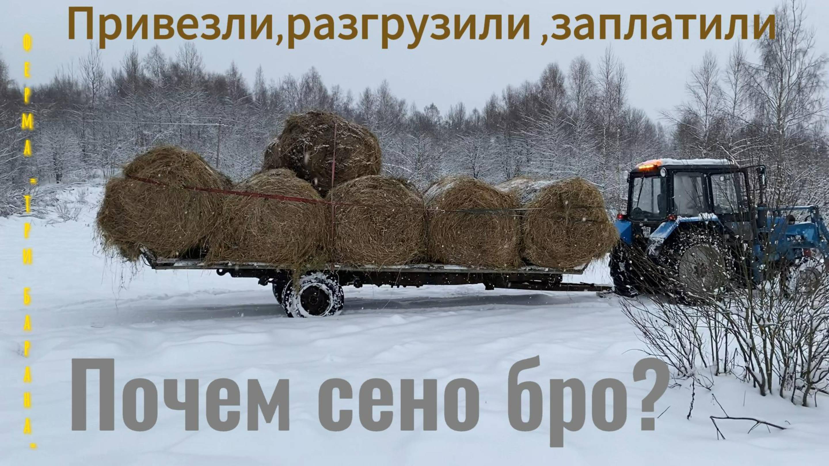 Почем сено Бро?
