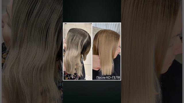 VID_20241209_000048_235.mp4