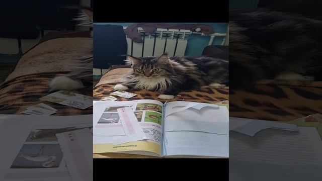 1000483290.mp4