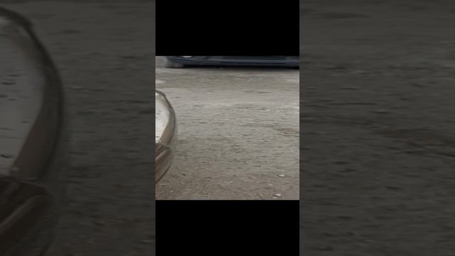 VID_20241208_094324