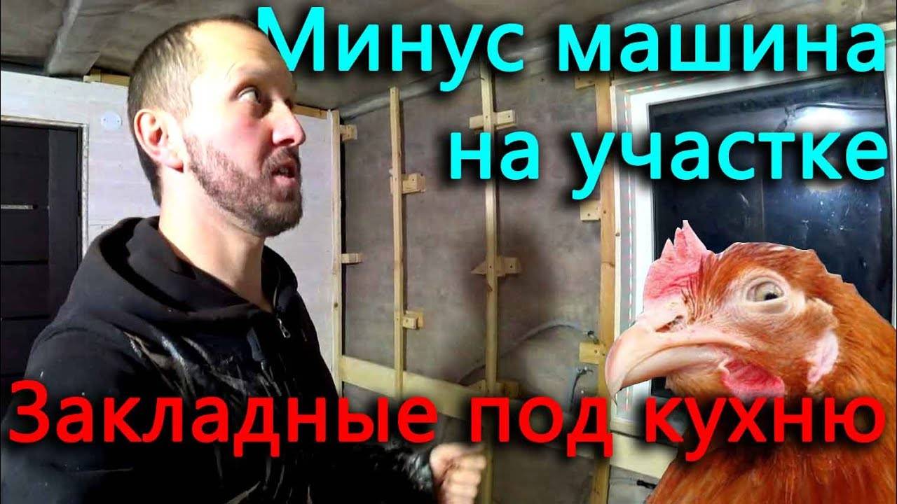 Новый сосед купил дом в соседней деревне. Куры наводят беспорядки.