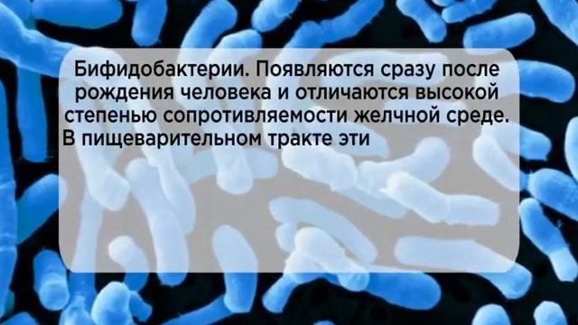 молочные истории