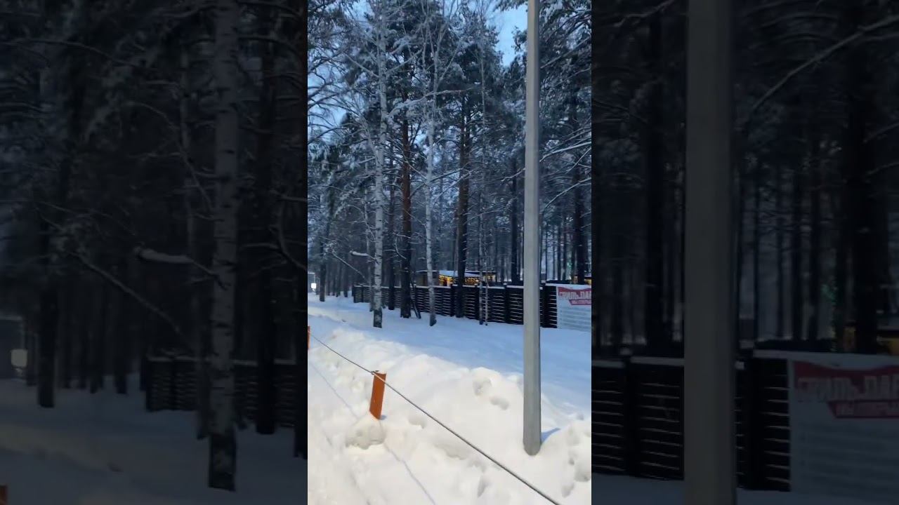 Winter ❄️ Snowfall / Зима ❄️ Снегопад #shorts #youtubeshorts #trending #trendingshorts