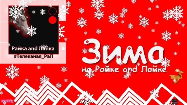ЗИМА на Райке and Лайке