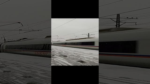 Сапсан через Сортировку