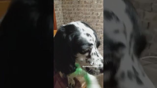 Новогодняя...)))