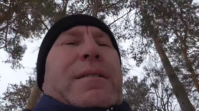 Зимний лес.