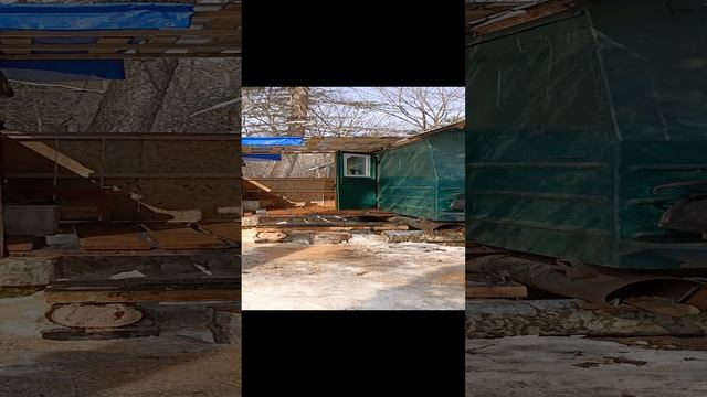 в лес на снегоходах