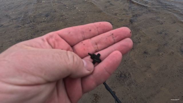 Коп по воде с Minelab equinox 800.