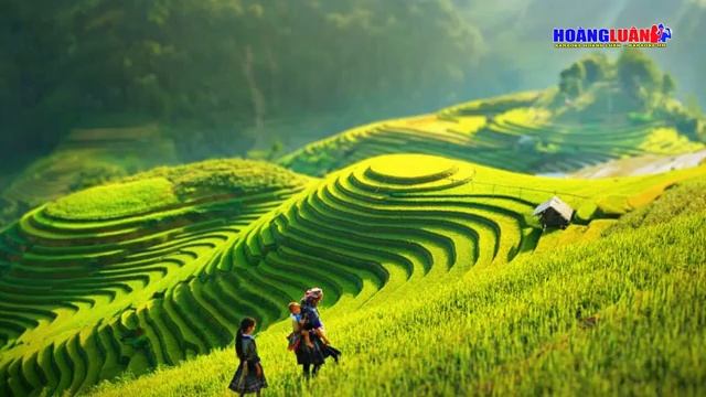 Karaoke Gặp Nhau Giữa Rừng Mơ Tone Nữ