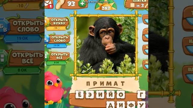 ответы на игру Птица говорун
