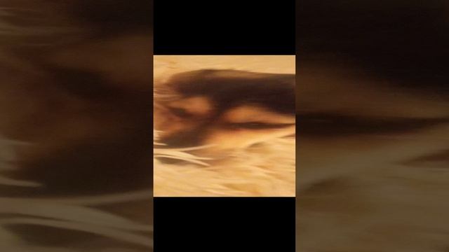 это мое первое видео