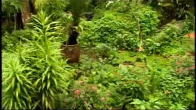 Kuala Lumpur, Malaysia  Butterfly Park