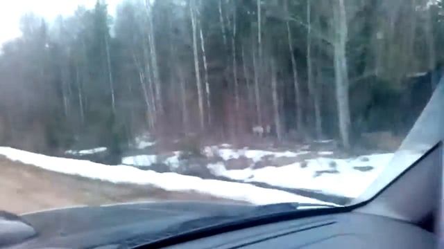 13 апреля 2016 г.