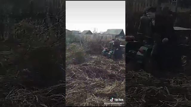 Уборка огорода.