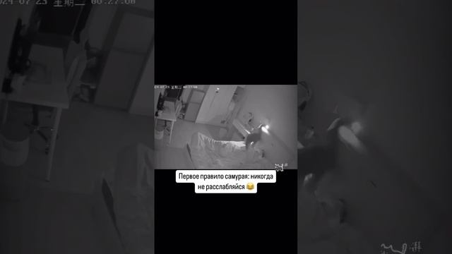 Мы в ВК https://vk.com/life_of_cats
